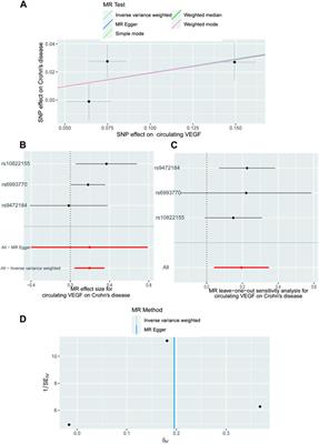 Circulating VEGF and inflammatory bowel disease: a bidirectional mendelian randomization